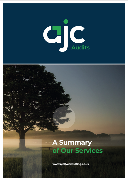 Image of audit PDF